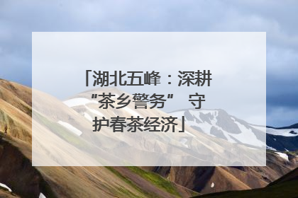 湖北五峰：深耕“茶乡警务” 守护春茶经济